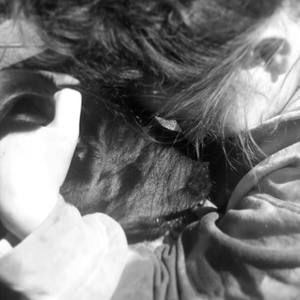 Meet your Posher, Carrigan